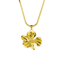 COLLARES
