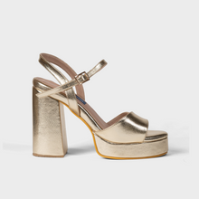 Champan